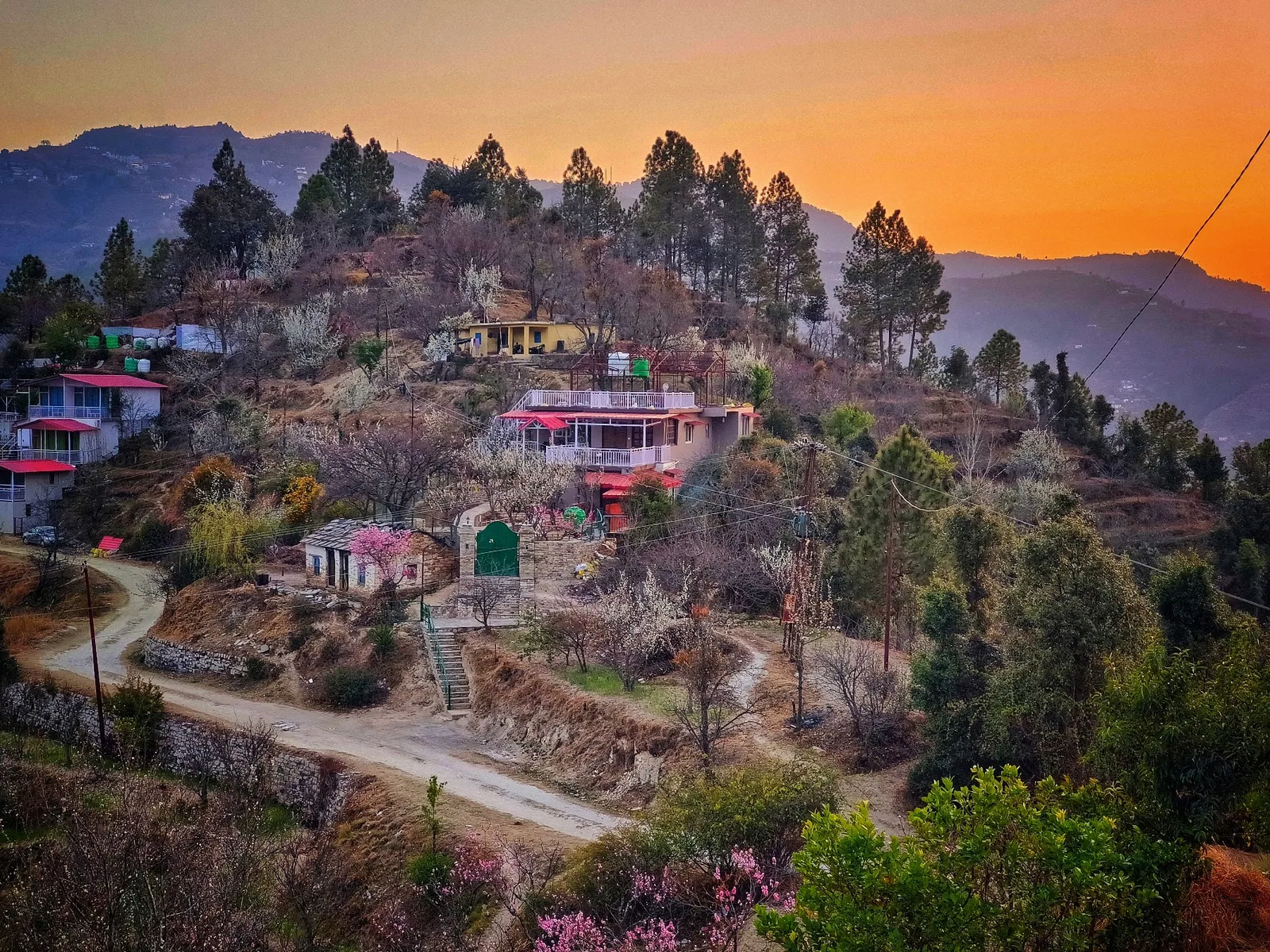 WindyRidge villa and the orchard around it at sunset, Darima, Mukteshwar