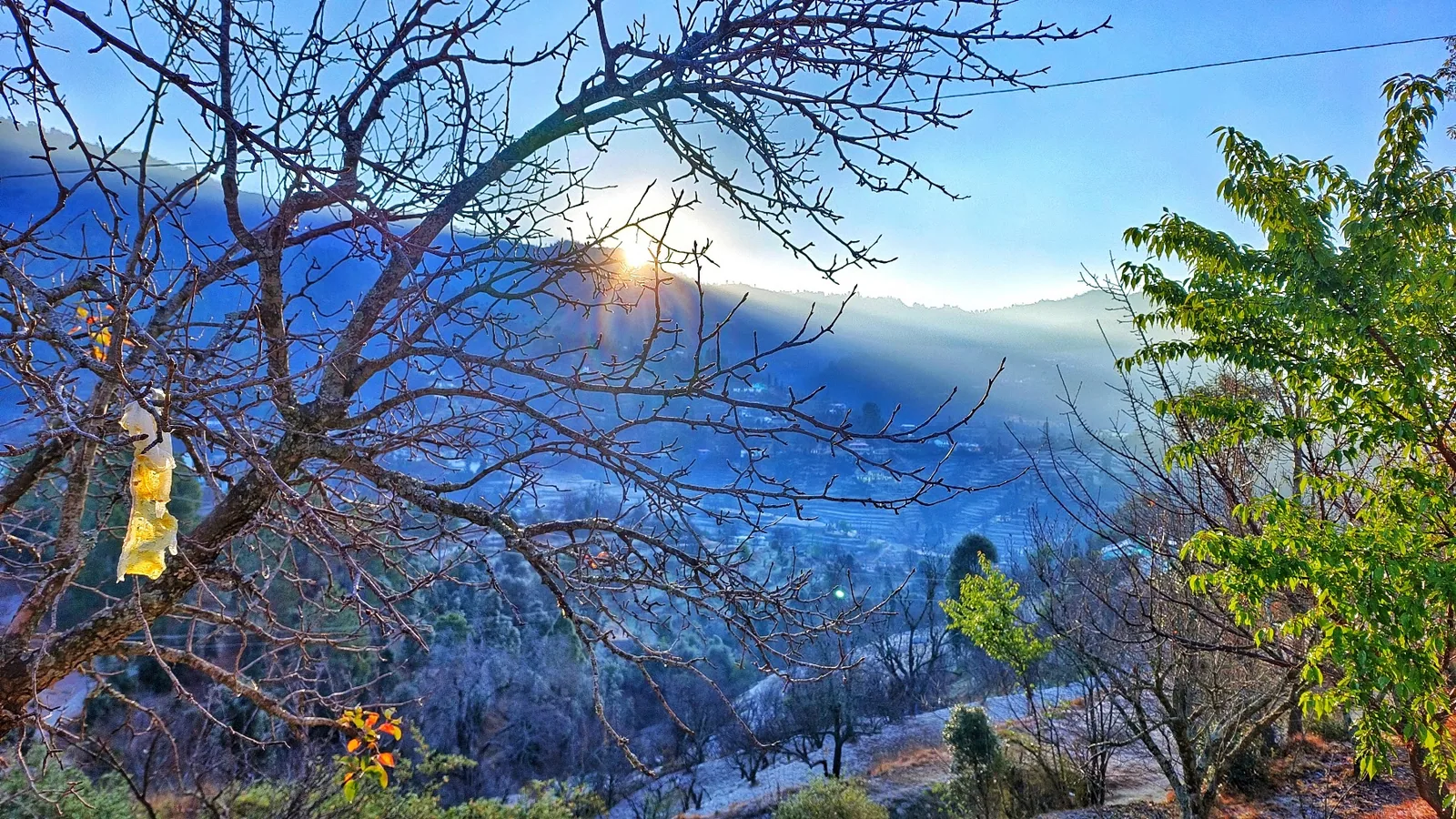 Evening light over the valley from the orchard at WindyRidge, Mukteshwar